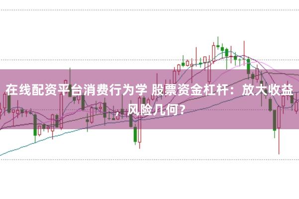 在线配资平台消费行为学 股票资金杠杆：放大收益，风险几何？