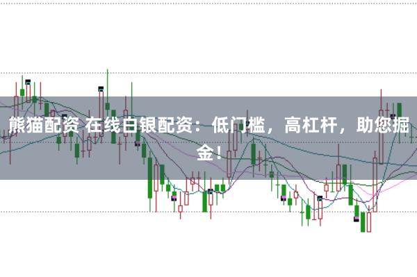 熊猫配资 在线白银配资：低门槛，高杠杆，助您掘金！