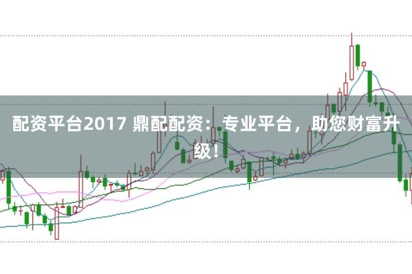 配资平台2017 鼎配配资：专业平台，助您财富升级！