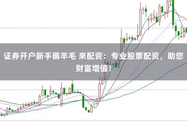 证券开户新手薅羊毛 来配资:专业股票配资,助您财富增值!