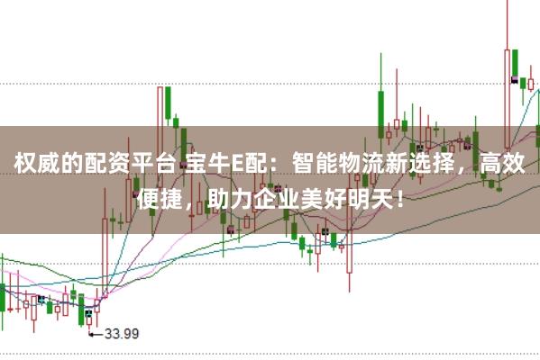 权威的配资平台 宝牛E配：智能物流新选择，高效便捷，助力企业美好明天！